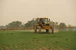Les pesticides utilisés dans les cultures se répandent aux alentours. Les agriculteurs et les maisons avoisinantes y sont donc exposés. © Pl77, Wikimedia Commons, CC by 3.0