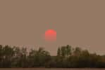 Le ciel et le soleil ont pris une tournure étrange ces derniers jours en France, en lien avec les incendies canadiens. © Saeedatun, Adobe Stock