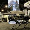 Les robots tueurs ne seront pas conçus par l’essentiel des sociétés de robotique américaines. © Ghost Robotics
