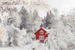 Les températures sont 20 à 30° C inférieures aux normales de saison en Suède cette semaine. © Nadezhda, Adobe Stock
