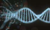 Qu'est-ce que le transfert d'ADN ? © ktsdesign, fotolia