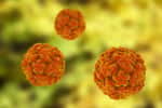 Les virus sont responsables de nombreuses maladies humaines plus ou moins graves : rhume, grippe, VIH, rougeole, herpès… © Maryna Olyak, Fotolia