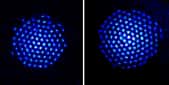 Les ions de béryllium, rendus visibles par fluorescence sur cette image (il est possible d'en distinguer 91 à gauche et 124 à droite), forment un réseau cristallin de maille triangulaire. Ils constituent un simulateur quantique et ouvrent une nouvelle voie pour obtenir peut-être un jour au moins un calculateur quantique. © NIST