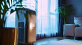 Découvrez notre sélection des meilleurs modèles à moins de 200 €, efficaces pour rafraîchir votre intérieur sans vous ruiner © Generative AI, Adobe Stock
