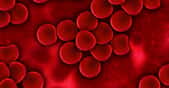 Les globules rouges constituent la plus grande part des quelque 30.000 milliards de cellules qui constituent le corps humain. © geralt, Pixabay, DP