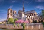 Depuis l'incendie de la cathédrale Notre-Dame, les scientifiques ont fait énormément de découvertes. © Didier Laurent, Adobe Stock