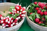 Récolte de radis ronds et radis demi-longs cultivés dans des pots et jardinières sur le balcon © eqroy, Adobe Stock
