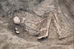 Les restes d'un individu mort durant la Préhistoire, retrouvé lors de fouilles archéologiques. © Masarik, Shutterstock