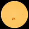 La région active 2192 macule la photosphère solaire. Visible sur le limbe du Soleil le 19 octobre, elle continue de se développer au fil de son transit sur la partie de notre étoile qui nous fait face. © Nasa, SDO