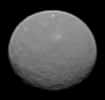 Voici Cérès comme on ne l’avait jamais vue auparavant. La sonde spatiale Dawn a photographié la planète naine (950 km de diamètre), le 4 février 2015 à seulement 145.000 km de sa surface. La résolution est de 14 km/pixel. Cliquez ici pour voir l'animation. © Nasa, JPL-Caltech, Ucla, MPS, DLR, IDA