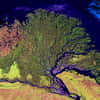 Delta du fleuve la Lena, en Russie, qui se jette dans la mer de Laptev. Image Landsat en fausses couleurs © Landsat, Wikimedia Commons, domaine public