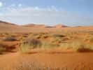 Paysage du Sahara actuel. © Florence Devouard, Wikimedia Commons, CC by-sa 3.0