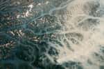 Des centaines de feux sont encore actifs au Canada et ravages d'immenses superficies du territoire. © Nasa