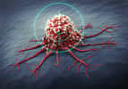 La nouvelle chimiothérapie à l'essai cible un antigène qui semble causer l'augmentation des erreurs de réplication de l'ADN dans les cellules cancéreuses. © peterschreiber.media, Adobe Stock
