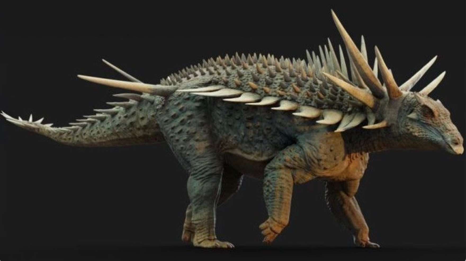 ankylosaure-dinosaure-armure.jpg