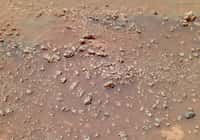 Structures de silice en forme de choux-fleurs découverts sur Mars par Spirit, en 2008, à proximité du site Home Plate. © Nasa, JPL-Caltech
