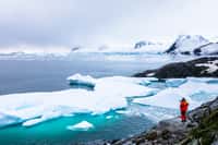 L'Antarctique, situé au pôle Sud de la Terre, est un continent. © NicoElNino, Adobe Stock