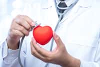 Médecin spécialisé dans la maladies cardiovasculaires, le cardiologue sait repérer les anomalies et proposer les soins adaptés aux personnes souffrants de maladies cardiaques. © suthisak, Adobe Stock