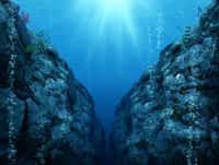 Au cœur de la croûte océanique inférieure, des chercheurs ont décelé de nombreux micro-organismes. © Ratpack223, Adobe Stock
