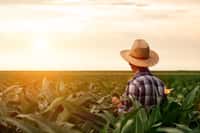 L'agriculture regorge de métiers peu connus à l'utilité indiscutable. © PointImages, Adobe Stock
