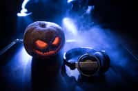 Découvrez quatre histoires à glacer le sang pour Halloween. © zef art, Adobe Stock
