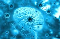 La maladie d'Alzheimer peut-elle être déclenchée suite à une infection virale ? © Rasi, Abode Stock