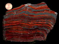 Un échantillon de roche provenant d'un gisement de fer rubané. Le penny en haut à gauche mesure 19 mm de diamètre. © Michael Vanden Berg