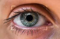 À l’aide d’un biomicroscope qui déploie une lumière fluorescente sur la lentille de l’œil, on pourrait diagnostiquer le diabète en mesurant le taux de produits de glycation avancée. © adriano_cz, Fotolia