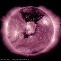 Observée dans l’extrême ultraviolet avec le satellite SDO, la zone sombre qui s’étend dans la couronne solaire est immense. © Nasa, SDO