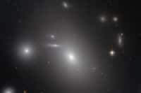 Découverte en 1785 par William Hershel, NGC 4889 est une galaxie elliptique supergéante. Située à seulement 300 millions d’années-lumière dans l’amas de la Chevelure de Bérénice (Coma cluster), elle cache, parmi les centaines de milliards d’étoiles qui la peuplent, un trou noir supermassif de 21 milliards de masses solaires (l’un des plus massifs connus, si ce n’est le plus gros). © Nasa, Esa