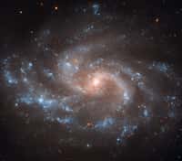  La galaxie NGC 5548 a un diamètre de cent mille années-lumière et se trouve à une distance de 240 millions d'années-lumière de la Voie lactée. Elle contient un trou noir supermassif d'environ 40 millions de masses solaires accrétant de la matière. © Nasa, Esa, A. Riess (STScI/JHU), L. Macri (Texas A &amp; M Univ.) et al., Hubble Heritage (STScI/Aura)