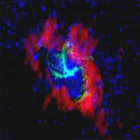 Cette image composite de Sagittarius A* combine des observations faites dans le domaine radio avec les radiotélescopes VLBA (vert) et BIMA (rouge) ainsi que dans l'infrarouge avec le télescope Spitzer (bleu). Les couleurs rouge, verte et bleue représentent respectivement le gaz froid, le gaz chaud, et les étoiles qui sont en orbite autour de trou noir supermassif de la Voie lactée. Notez l'aspect à trois bras du gaz ionisé dans l'image radio qui se superpose à la distribution des émissions de molécules d'HCN beaucoup plus froides. © NRAO/AUI