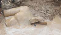 Près du Caire, sur le site de l'antique cité Héliopolis, une statue apparaît dans la boue : est-ce Ramssès II ? © Ministère égyptien des antiquités et Dietrich Raue