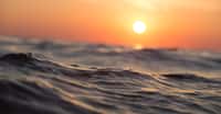 L’acidification des océans préoccupe les chercheurs. Certains préviennent qu’elle s’annonce particulièrement importante. D’autres alertent quant à ses conséquences sur la vie marine. © Pexels, Pixabay, CC0 Creative Commons