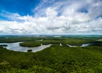 Méandre d'un cours d'eau du bassin amazonien. Les méandres bougent au cours du temps et érodent et construisent&nbsp;le paysage. © gustavofrazao, Fotolia