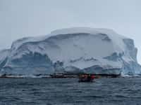 L'île Sif, découverte ce mois-ci en Antarctique, a fait l'objet de prélèvements de roches. © James Marschalek, Thwaites glacier offshore research