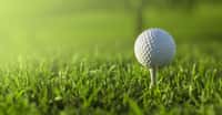 432 ! C’est le nombre moyen d’alvéoles que compte une balle de golf. De quoi l'aider à voler plus loin. © artea_art, Fotolia