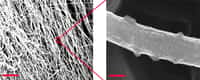 Ces deux images de microscopie électronique à balayage (MEB, ou SEM pour Scanning Electron Microscopy en anglais) montrent les nanofibres de carbone utilisées pour produire du monoxyde de carbone à partir de CO2, une étape importante pour une future synthèse d'essence. Les barres rouges donnent l'échelle, avec respectivement à gauche et à droite 5 μm et 200 nm. © Bijandra Kumar et al., Nature Communications