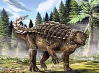 Reconstitution d'artiste du nouveau dinosaure australien Kunbarrasaurus ieversi. © Australian Geographic (image utilisable seulement pour un texte en relation avec cette découverte)