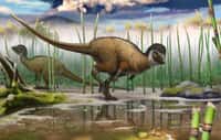 Décrit dans un article qui vient de paraître dans Science, Kulindadromeus zabaikalicus est le nouveau dinosaure exhumé à Kulinda, un site bordant la rivière Olov en Sibérie. © Institut royal des Sciences naturelles de Belgique, Andrey Atuchin