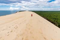 Située en Gironde, la Dune du Pilat est en bordure du massif forestier des Landes de Gascogne et à l'entrée du bassin d'Arcachon. Il s'agit d'un site naturel mouvant, de près de 3 km de long et de plus de 600 mètres de large, dont les mensurations varient au fil des ans. Entre 2017 (110,5 mètres) et 2018 (106,6 mètres), elle avait déjà connu une perte de sable de 3,9 mètres en son point culminant. © Stéphane Bidouze, Adobe Stock