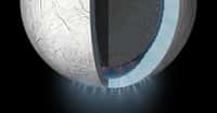Sur cette vue en coupe d’Encelade, on peut voir sous une banquise de 30 à 40 km d’épaisseur, l’océan d’environ 10 km de profondeur qui se situe au pôle Sud. Ce dernier est en contact avec les roches du noyau, lequel serait relativement poreux comme le suggèrent les mesures de la gravité de ce petit satellite naturel de quelque 504 km de diamètre. © Nasa, JPL-Caltech