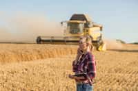 De plus en plus d'agricultrices se lancent seules dans la gestion d'exploitations agricoles. © eric, Adobe Stock