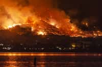 Chaque année, les feux de forêt nous rappellent l'urgence du réchauffement climatique. © Kevin Key, Adobe Stock