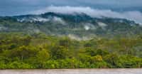 Le cycle des pluies de la forêt amazonienne affectée par la pollution aux nanoparticules. © Grispb, Fotolia