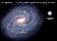 Une comparaison entre la taille de la Voie lactée et celle des galaxies ultracompactes contenant presque la même quantité d'étoiles. Ces galaxies sont devenues « mortes » trois milliards d'années après la naissance de l'univers, car la formation de nouvelles étoiles s'y était arrêtée. Leur apparition précoce dans l'histoire du cosmos est maintenant reliée à une population antérieure de galaxies hyperactives riches en poussières et en gaz, les galaxies submillimétriques. © Nasa, Esa
