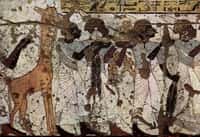 Sur cette fresque murale dans une tombe égyptienne du XIVe siècle avant J.-C., on remarque la présence d'une girafe. On pouvait encore en trouver dans la vallée du Nil à cette époque. Bien qu'il faille interpréter avec précaution les images d'animaux dans l'ancienne Égypte, par exemple en les recoupant avec des données paléontologiques, elles constituent une riche source d'informations sur l'écosystème de la vallée du Nil au cours des millénaires. © Wikipédia, DP