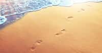 C’est sur une plage de l’île Calvert (Canada) que des empreintes de pas humains datant de quelque 13.000 ans ont été découvertes. © Thaut Images, Fotolia