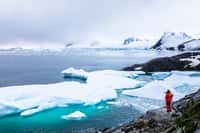 Les relevés météo et mesures satellites ne laissent aucun doute sur l'avenir sombre du continent et de l'océan antarctique. © NicoElNino, Adobe Stock