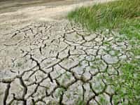 La sécheresse a nettement régressé dans le sud-est, mais uniquement en surface. . © JodyDellDavis, Adobe Stock